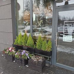 Niezłe Kwiatki (Kraków )
