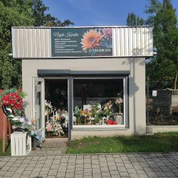 Niezłe Kwiatki (Piotrków Trybunalski )