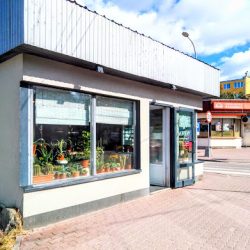 Niwa. Rośliny Do Mieszkań I Ogrodu (Pruszków )
