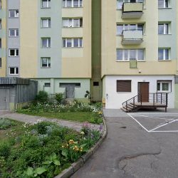 Noir Mademoiselle (Bydgoszcz )