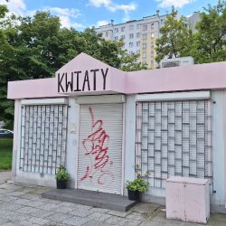 Obsypane Kwiatami Kwiaciarnia Gaj (Wrocław )