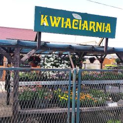 Ogrodnictwo I Kwiaciarnia Kosmala (Siemianowice Śląskie )