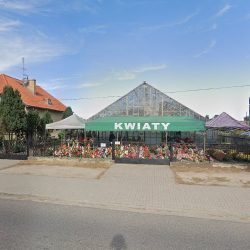 Ogrodnictwo- Kwiaty I Sadzonki (Wągrowiec )