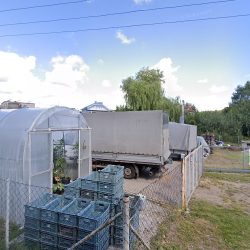 Ogrodnictwo Zielona Górka Matuszewscy (Olsztyn )