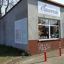 Olawenda Kwiaciarnia (Poręba )