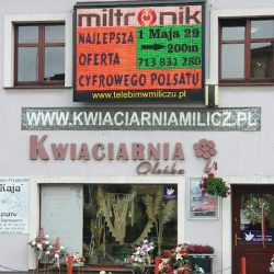 Oleńka Milicz - Kwiaciarnia Internetowa Kwiaty Z Dostawą Bukiet Kwiatów Od 49 Zł (Milicz )
