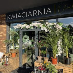 Oliwka (Myślenice )