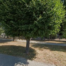 Olszewska Edyta. Kwiaciarnia (Szamotuły en Merlo San Luis)