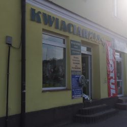 Orchidea. Kwiaciarnia. Frankiewicz D. (Iłża )