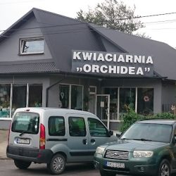 Orchidea. Kwiaciarnia. Mazur R. (Kolbuszowa )