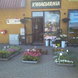 Orzeł Donata. Kwiaciarnia (- )