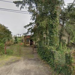 Osetek-skilska Justyna. Phu. Kwiaciarnia (Nakło nad Notecią )