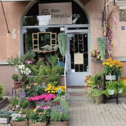 Pan Florysta (Poznań en Merlo San Luis)