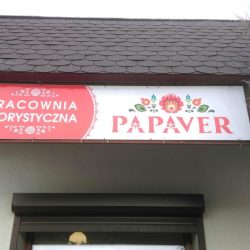 Papaver. Pracownia Florystyczna (Niemodlin en Merlo San Luis)