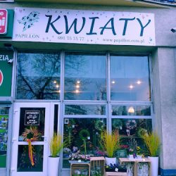 Papillon Kwiaty Pracownia Florystyczna Wrocław (Wrocław )
