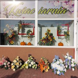Paulina Kwiaciarnia (Kraśnik en Merlo San Luis)