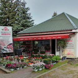 Perfect Kwiaty I Dekoracje Ewelina Kucz (Skwierzyna )