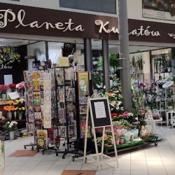 Planeta Kwiatów (Gniezno )