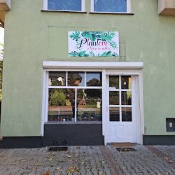 Plantove (Nowa Sól )