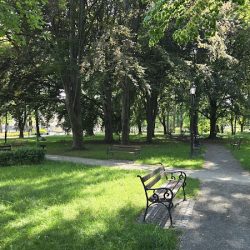 Planty Salinarne (Bochnia )