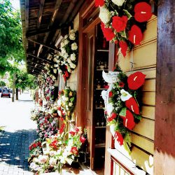 Po Schodkach. Kwiaciarnia. Szucki M. (Biała Podlaska )