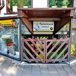 Poczta Kwiatowa Kwiaciarnia Cyperus (Zakopane )