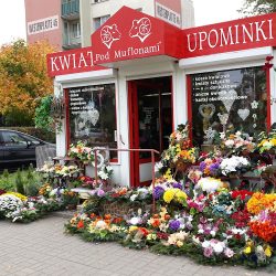 Pod Muflonami (Wałbrzych )