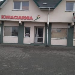 Pod Różą. Kwiaciarnia. Piejek M. (Piotrków Trybunalski )