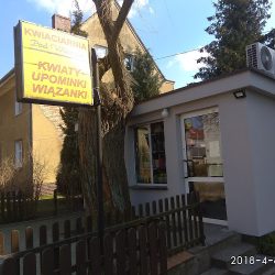 Pod Wierzbą (Trzcianka en Merlo San Luis)