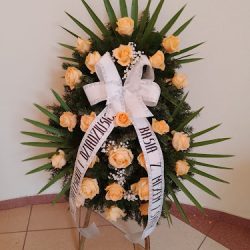 Pogrzeb Universum (Tarłów en Merlo San Luis)