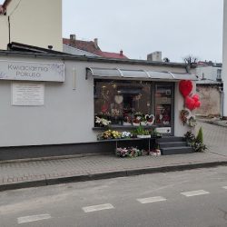 Pokusa. Kwiaciarnia (Sulechów )