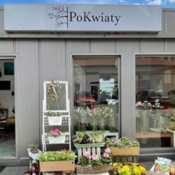 Pokwiaty (Wrocław )