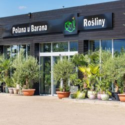 Polana U Barana (Komorniki en Merlo San Luis)
