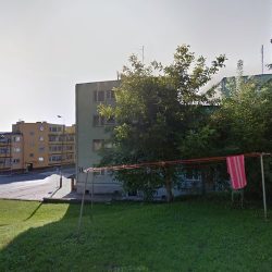 Pospychała Lilianna. Kwiaciarnia (Dzierzgoń )