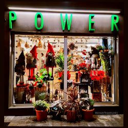 Power Flower Kwiaty (Myszków )