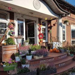 Pracownia Florystyczna Alexa Flowers & Decorations Kwiaty Gdańsk (Gdańsk )