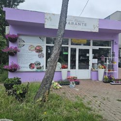 Pracownia Florystyczna Amarante (Sokołów Podlaski )