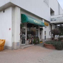 Pracownia Florystyczna Beaty Felińczak (Wrocław )