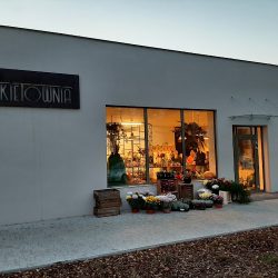 Pracownia Florystyczna Bukietownia (Wolsztyn en Merlo San Luis)