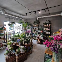 Pracownia Florystyczna Flower House (Kraków )