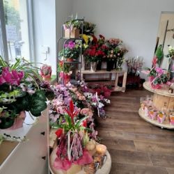 Pracownia Florystyczna Kwiatownia (Trzemeszno en Merlo San Luis)