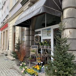 Pracownia Florystyczna Kwiatuszek (Nysa en Merlo San Luis)