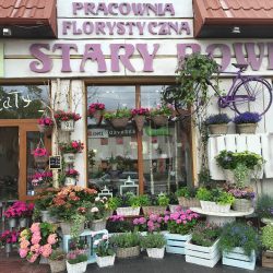 Pracownia Florystyczna Stary Rower Kwiaciarnia Kwiaty (Tczew )
