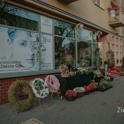 Pracownia/kwiaciarnia Zielona Gęś (Opole )