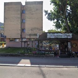Producent Roślin Ozdobnych (Opole )