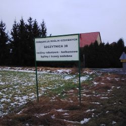 Produkcja Roślin Ozdobnych (Szczytnica )