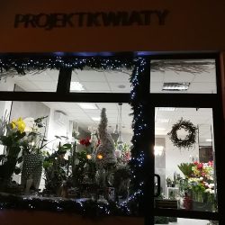 Projekt Kwiaty Julita Gamalczyk (Włocławek )