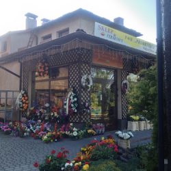 Prometeusz Włodzimierz Ferenc Sklep/kwiaciarnia (Przemyśl )
