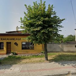 Puzdrakiewicz M. Kwiaty, Wiązanki, Art. Przemysłowe (Kłodawa en Merlo San Luis)