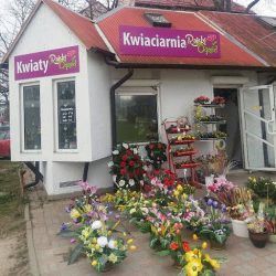 Rajski Ogród (Olsztyn )